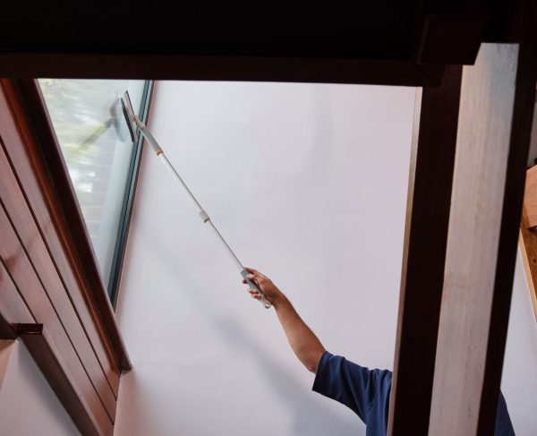 CleanTech? 2-in-1 Glass Cleaning Tool with Extension Pole - Image 5