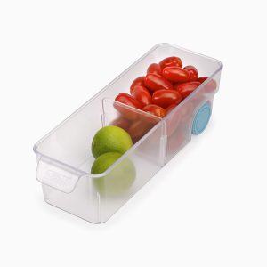 FridgeStore? Compact Clear Storage Bin