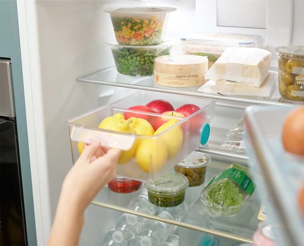 FridgeStore? Large Clear Storage Bin - Image 2
